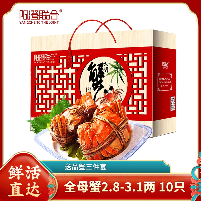 【活蟹】阳澄联合大闸蟹全母蟹2.8-3.1两10只礼盒
