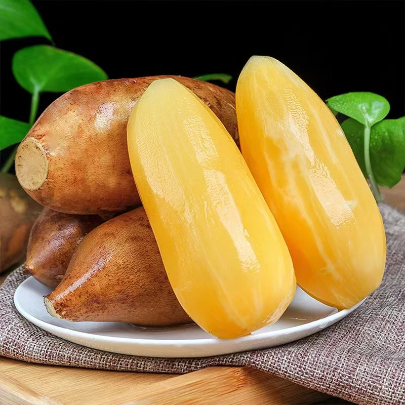 云南天山雪莲果新鲜应季水果9/5斤坏果包赔脆甜爽口