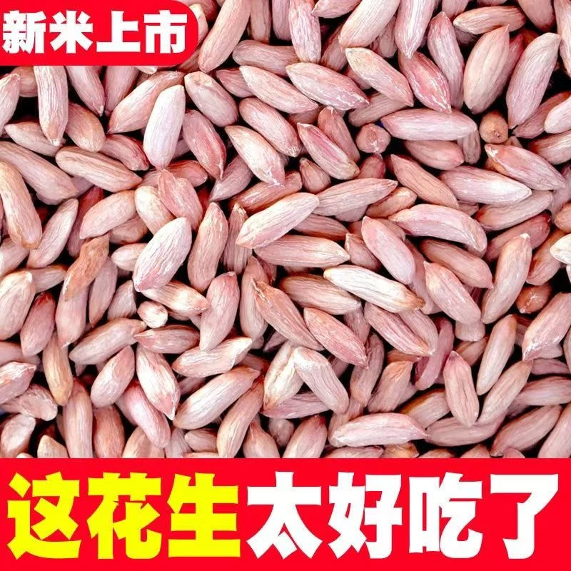 新花生米25年新货瘪花生小粒花生红皮花生米山东特产