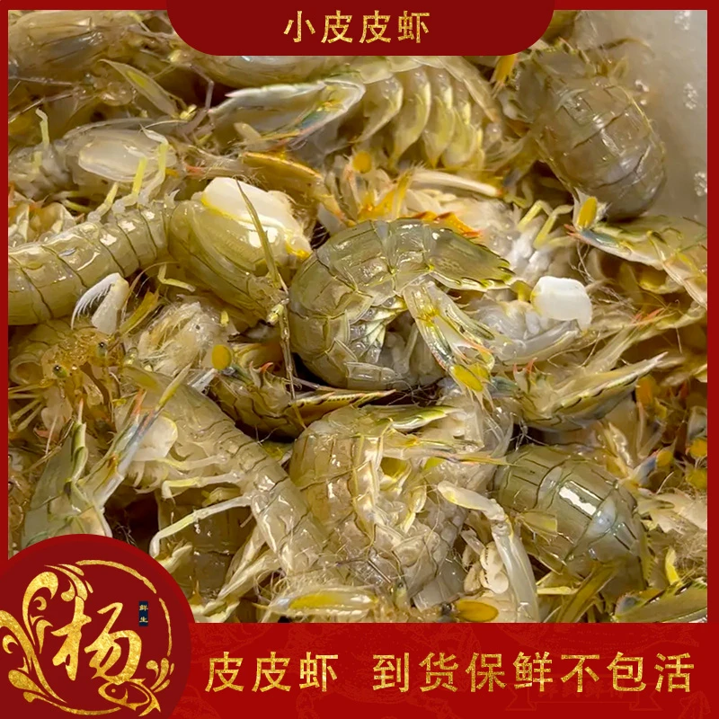 【小个皮皮虾】25-30条左右