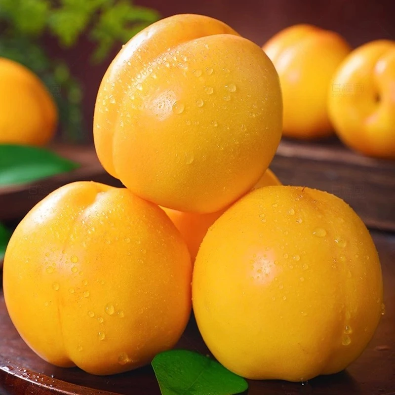 【坏果包赔】山东沂蒙山蒙阴黄油桃现发皮薄香甜大果新鲜酸甜爽口甜