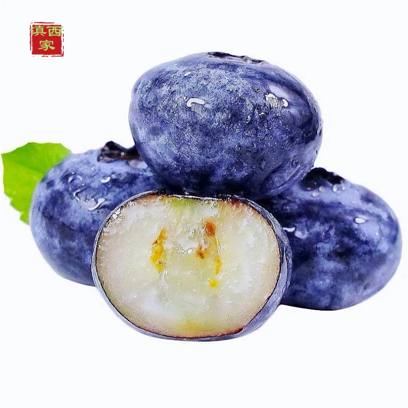 【顺丰空运】云南抚仙湖L25花香脆甜蓝莓当季高原花香蓝莓1斤包邮