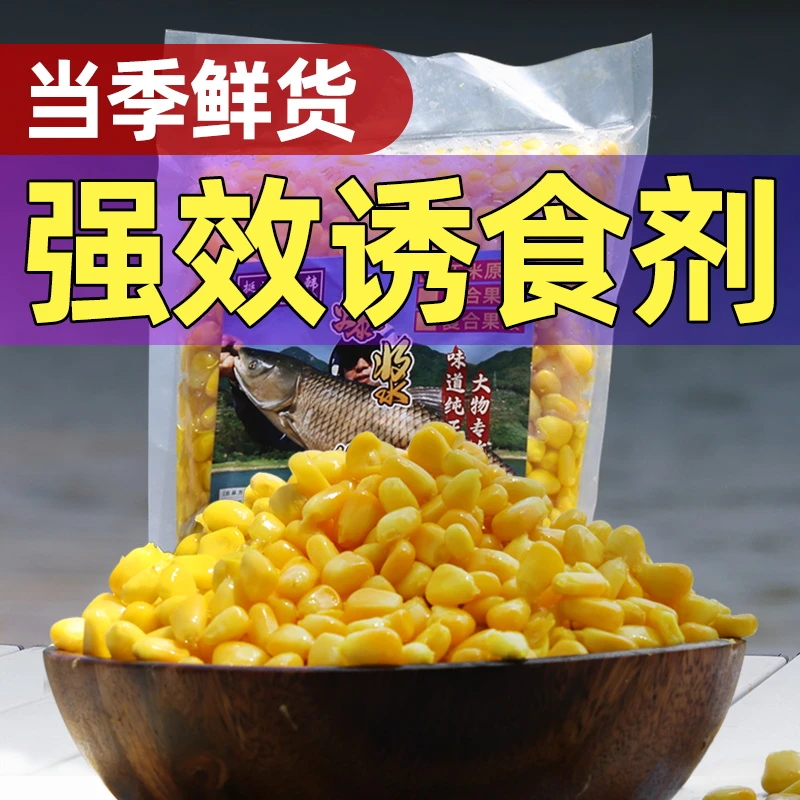 钓鱼新鲜嫩玉米粒颗粒秘制大物钓饵打窝料钓草青鳊鱼窝料挂钩饵料