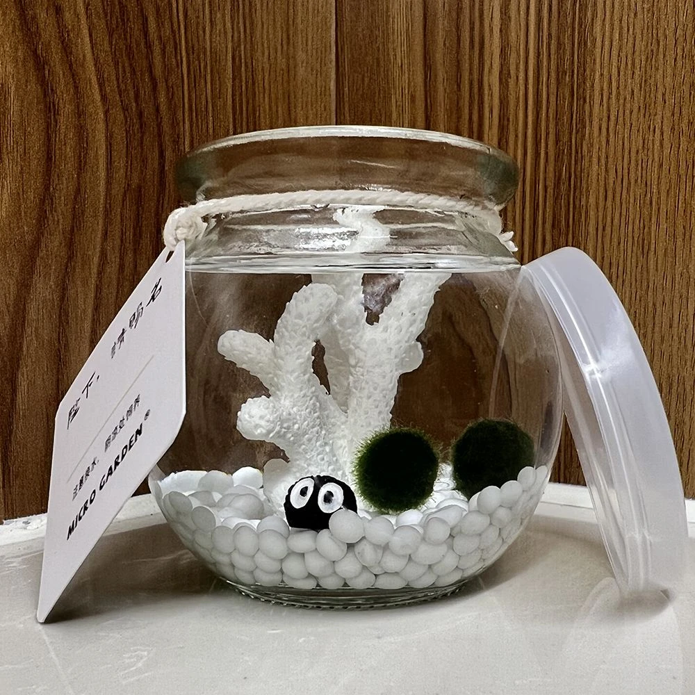 海藻球生态瓶迷你植物水草套装 桌面萌宠创意小礼物生日开学奖励n