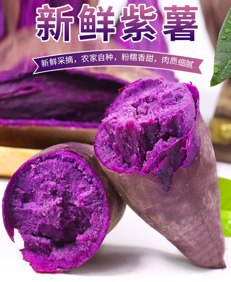 河南现挖新鲜紫薯粉糯香甜沙地紫薯5斤（寒冷地区加保温箱发货）