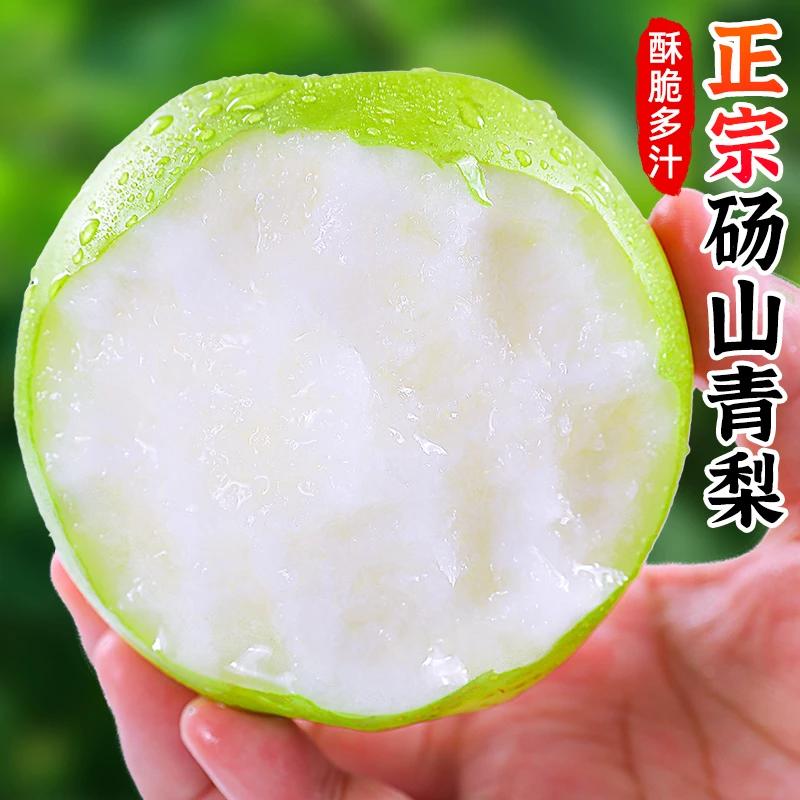 【酥脆多汁】正宗砀山青梨2-9斤梨子蜜梨雪梨新鲜水果香甜砀山梨