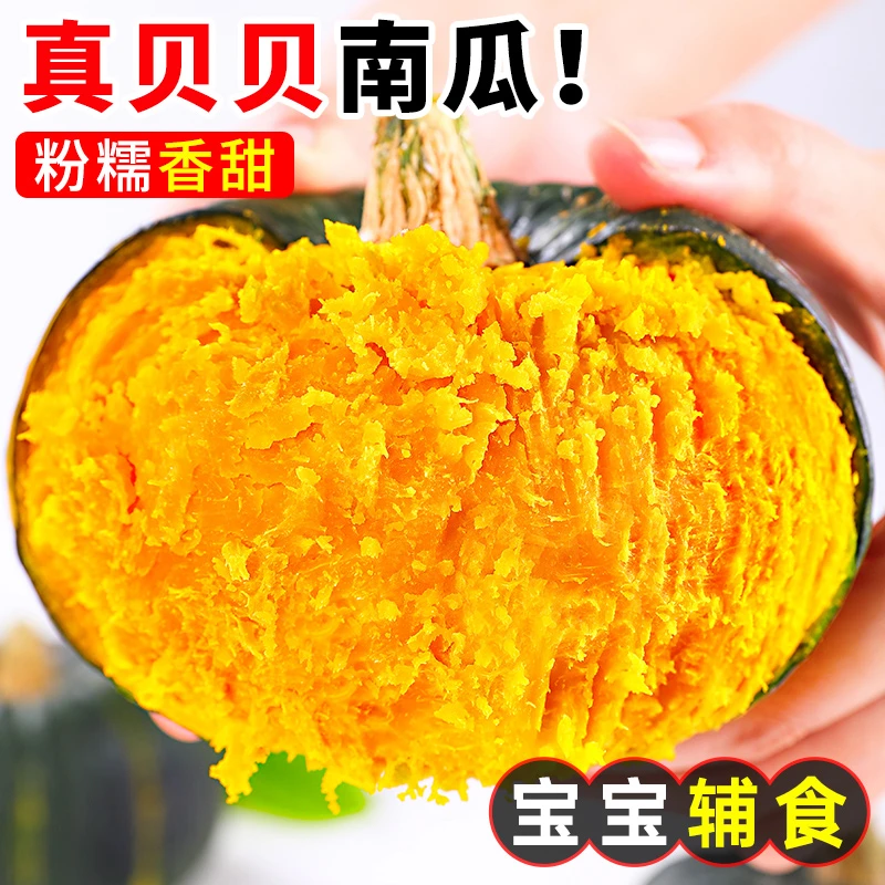 【粉糯香甜】正宗贝贝南瓜4.5斤约4-8个装丨单果约300-600g新鲜果蔬