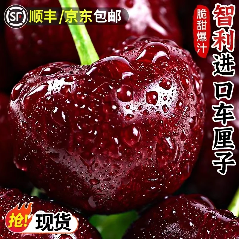 【顺丰/京东包邮】智利进口车厘子5斤原箱新鲜当季水果大樱桃送礼