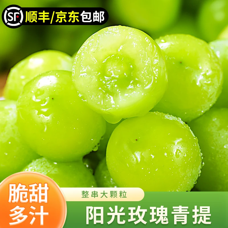 【顺丰/京东包邮】阳光玫瑰250g+提子新鲜水果晴王香印水晶青提葡萄