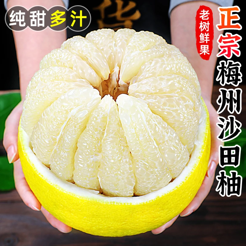 【香甜多汁】正宗梅州沙田柚4.7-18.5斤梅县白肉蜜柚白柚应季水果