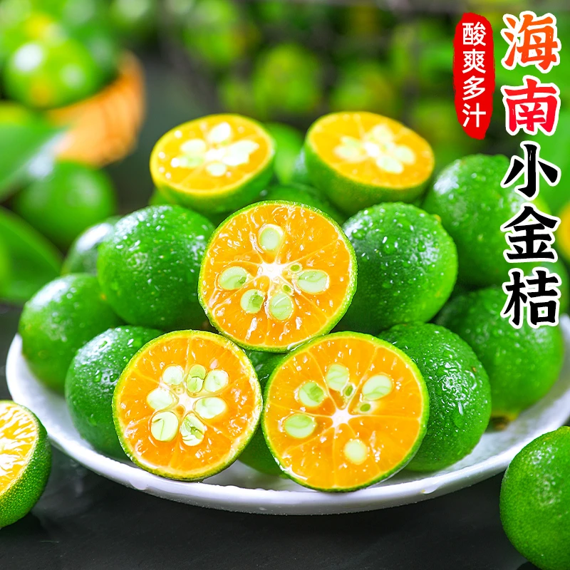 【酸爽多汁】海南小金桔1-5斤商超果新鲜小青拧奶茶店专用青橘子