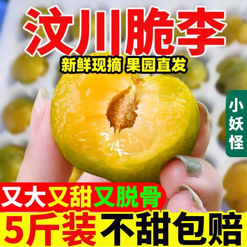 正宗四川汶川李子脱骨脆李新鲜李青脆脱骨李四川脱骨脆蜂糖李李子