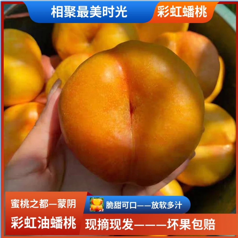 蒙阴蜜桃彩虹油盘桃7—7真正好吃3—4.5斤脆甜可口放软多汁桃味更足