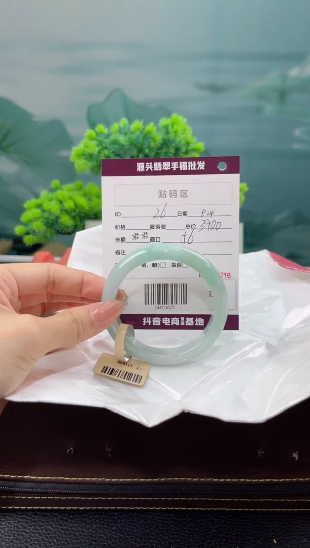 【闪购商品】翡翠手镯未镶嵌翡翠手镯26