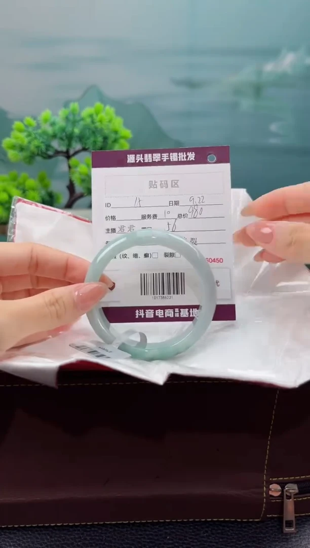 【闪购商品】翡翠手镯未镶嵌翡翠手镯（微瑕）15
