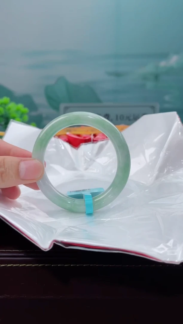 【闪购商品】翡翠手镯未镶嵌翡翠手镯251