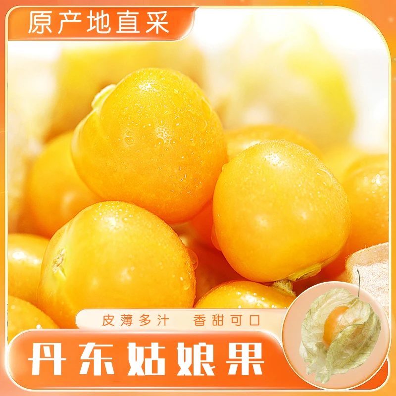 【东北特产】菇娘果黄金豆新鲜好吃2～5斤装包邮