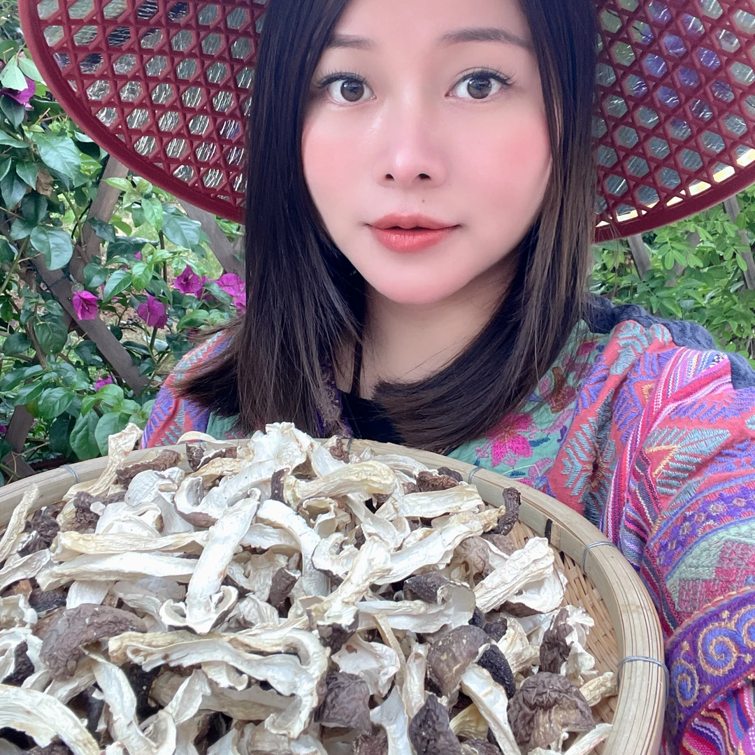 云南土特产 现收山货 带皮松茸雪山赤松茸