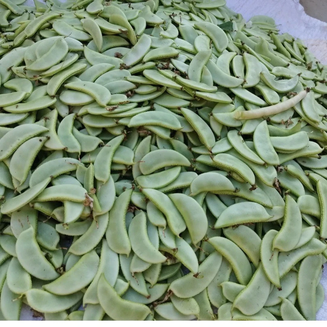 随州本地新鲜老品种扁豆 农家自种豆角包邮