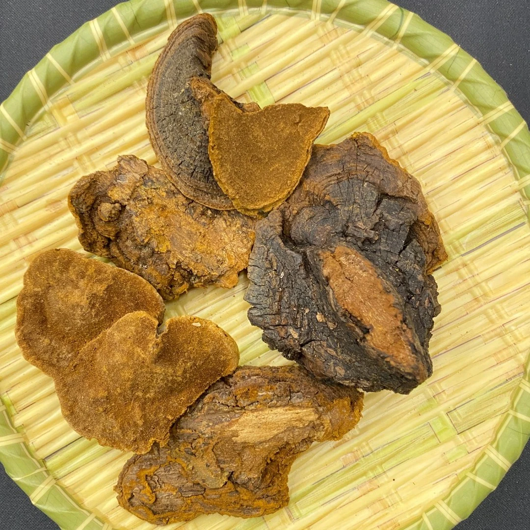 【桑椹黄茶】男性女性食用