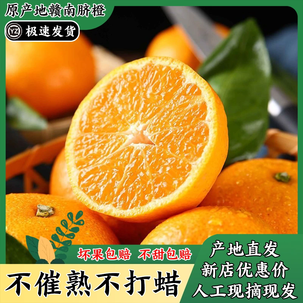 【产地直销】现摘爆甜赣南脐橙当季特产香甜细腻爆汁皮薄橙味鲜甜