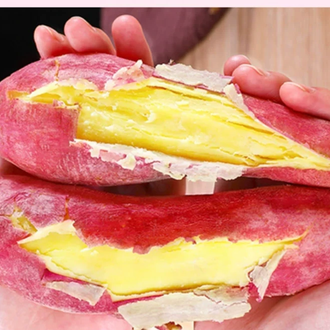 【现挖现发】陕西正宗板栗红薯现挖现发地瓜老少皆宜辅食营养餐