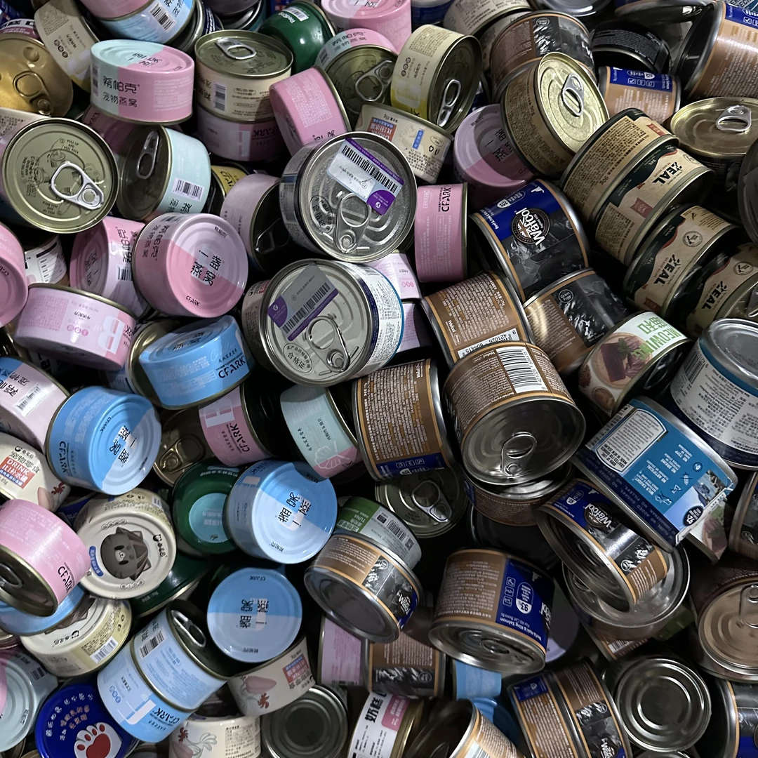 月亮与尾巴幼猫餐盒清仓