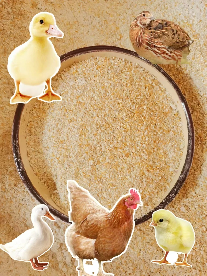 现磨玉米棒子面粉玉米碎粉钓鱼打窝饵料散装小鸡鸭鹅宠物包邮
