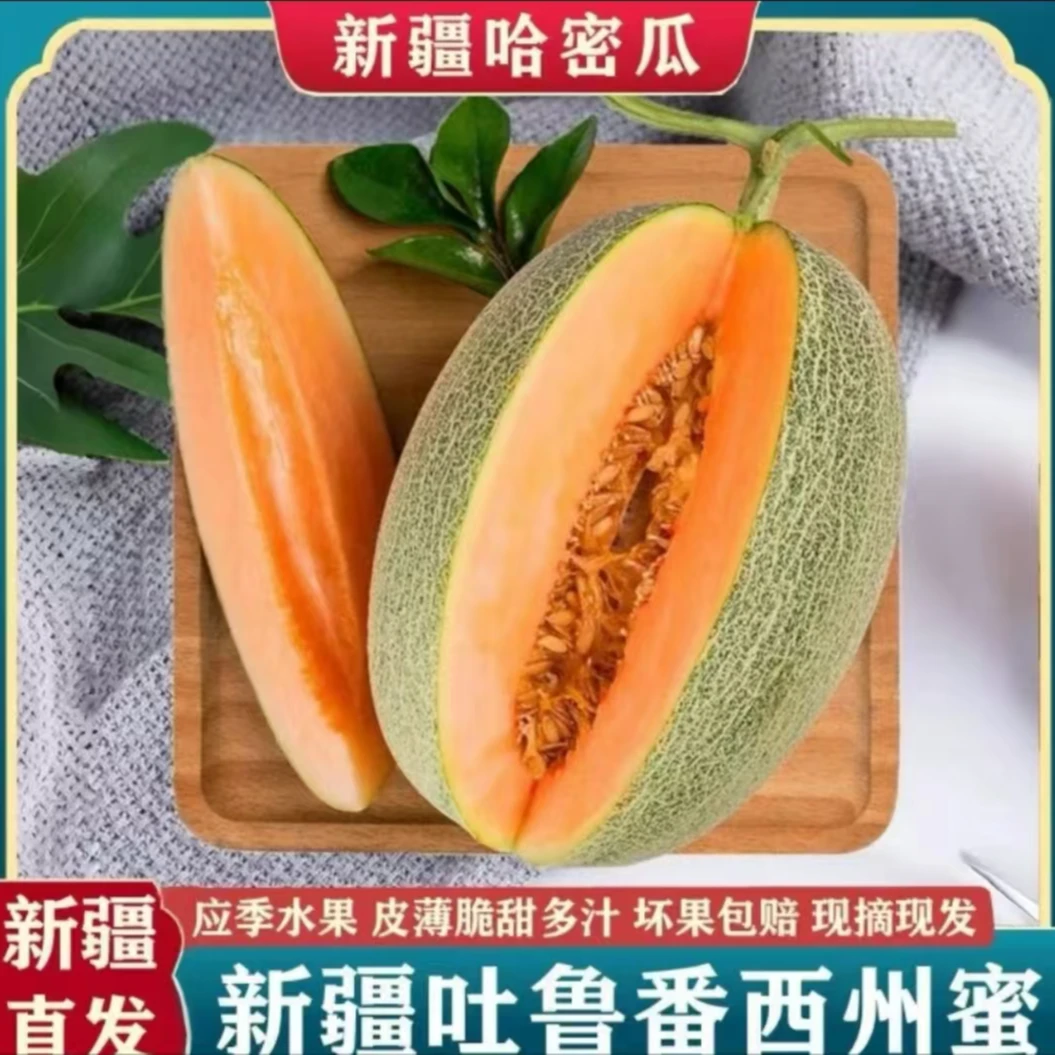 【新疆直发】新疆吐鲁番晓蜜25号哈密瓜新鲜现摘现发