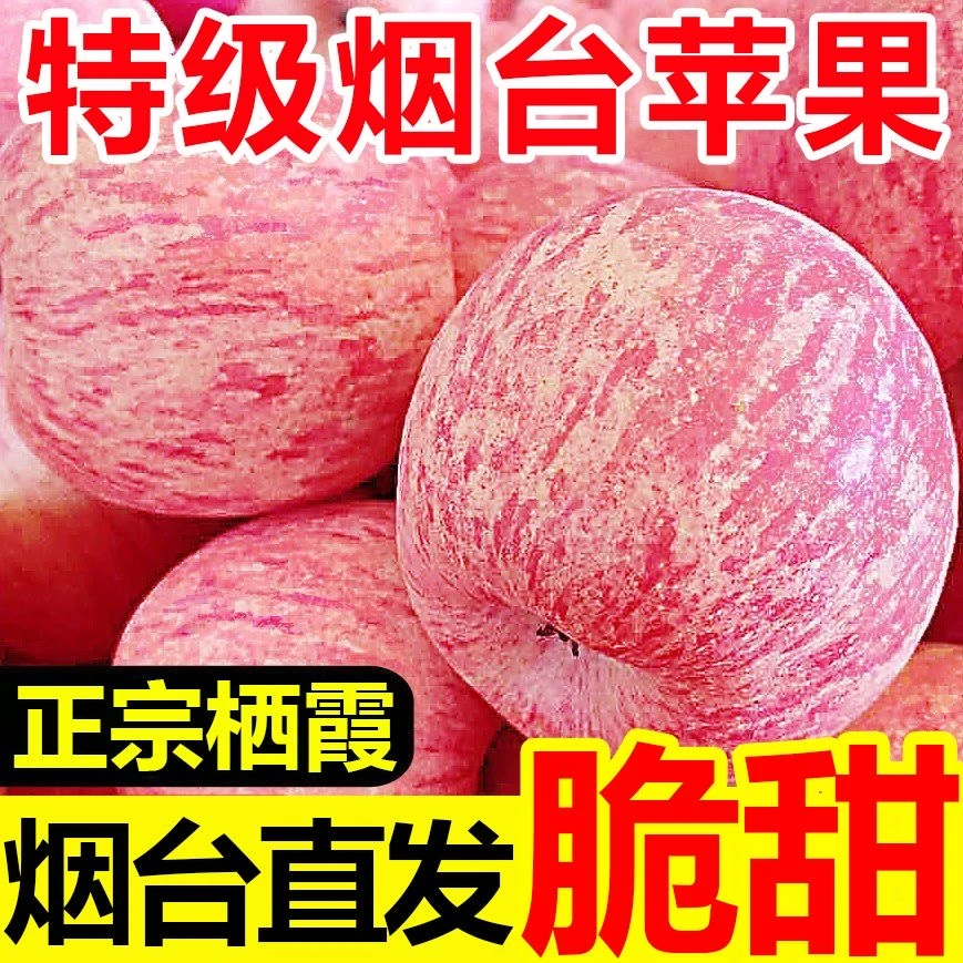 正宗烟台红富士苹果栖霞脆甜苹果片红条纹当季应季新鲜水果