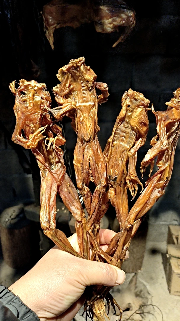 宁乡唐济公  糠熏腊牛蛙