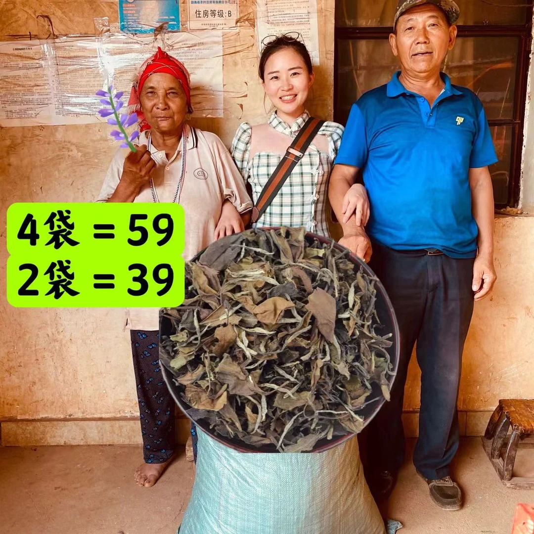 正宗不打药【真正荒山纯日晒白茶散茶】外观丑但好喝耐泡  产地直发