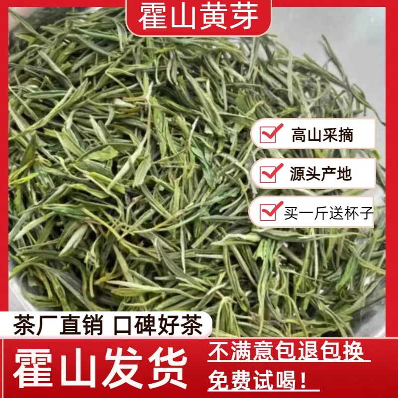 『霍山黄芽』大化坪高山浓香精品口粮茶鲜嫩可口回甘生津A99福利款