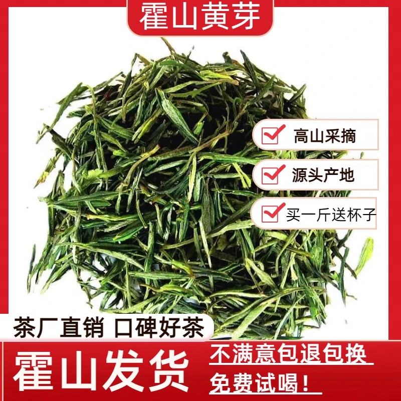 【霍山黄芽】大化坪高山碳火烘焙精品茶叶口粮精选鲜爽回甘A99款