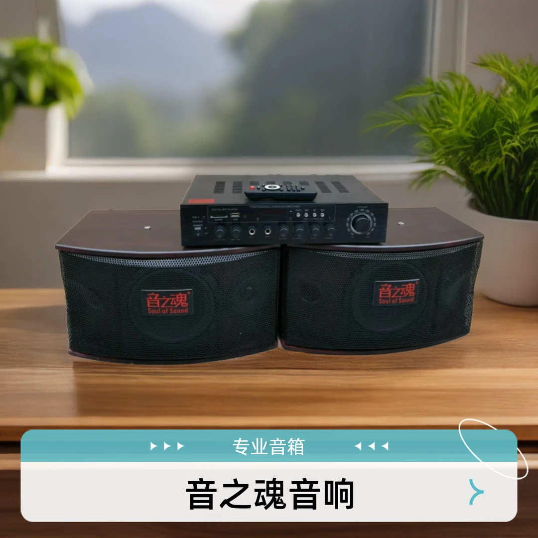 音之魂音之魂家用KTV专业卡包箱家庭影院K歌系统套装功放专业音箱