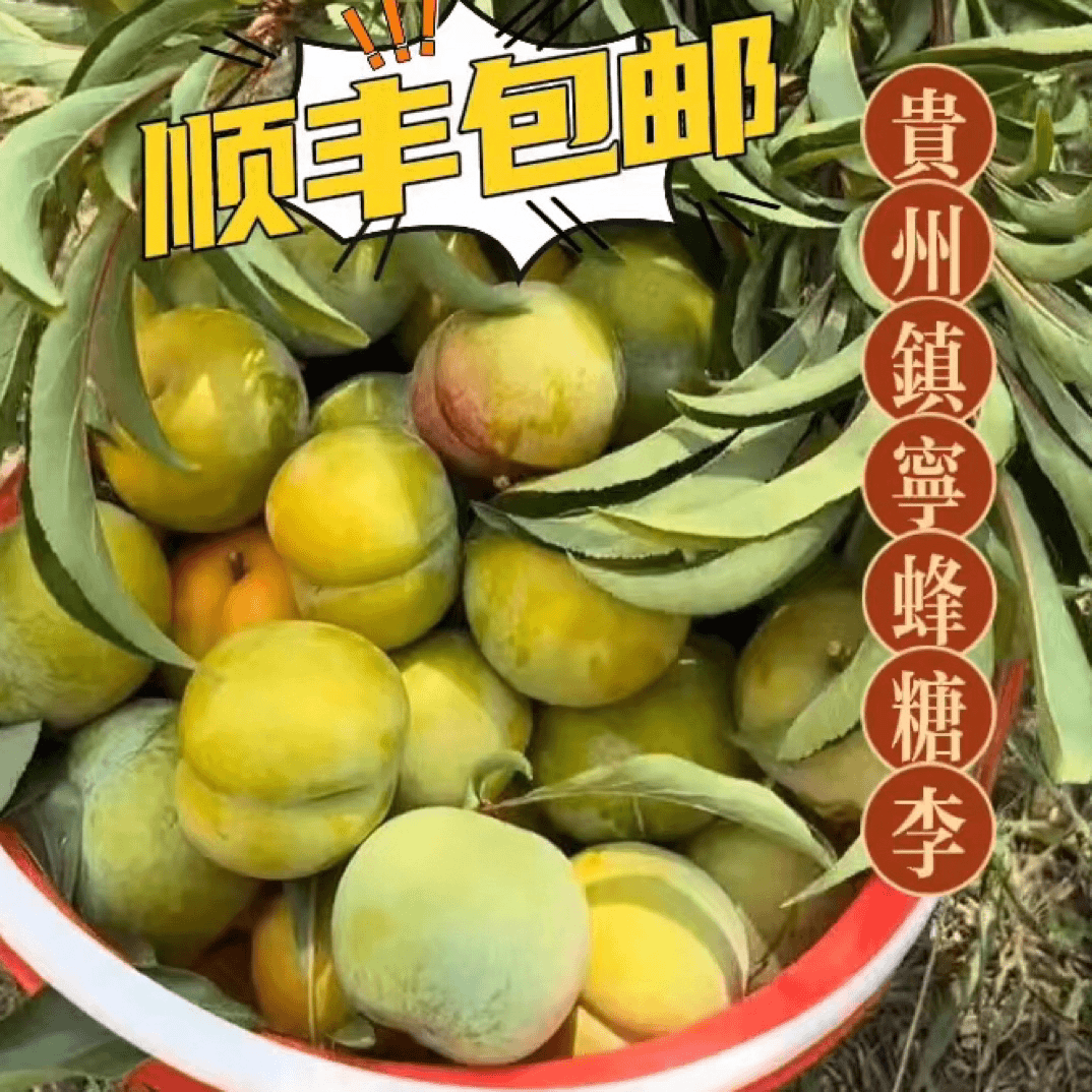 正宗贵州六马蜂糖李脫骨李纯甜无酸30枚50枚60枚