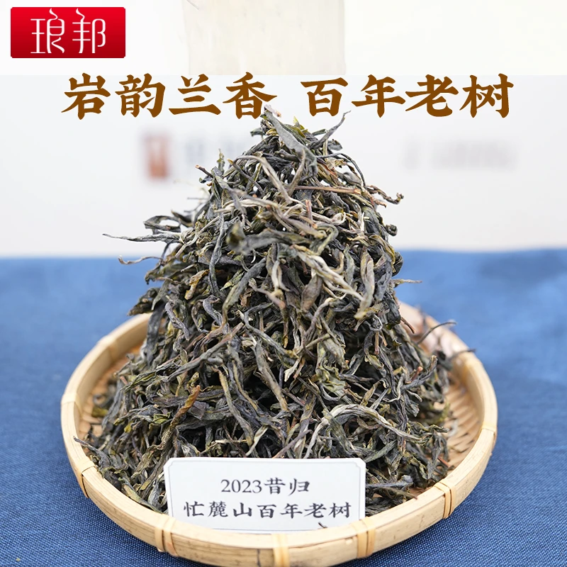 琅邦2023昔归忙麓山百年老树散茶毛茶云南临沧普洱茶生茶头春茶叶