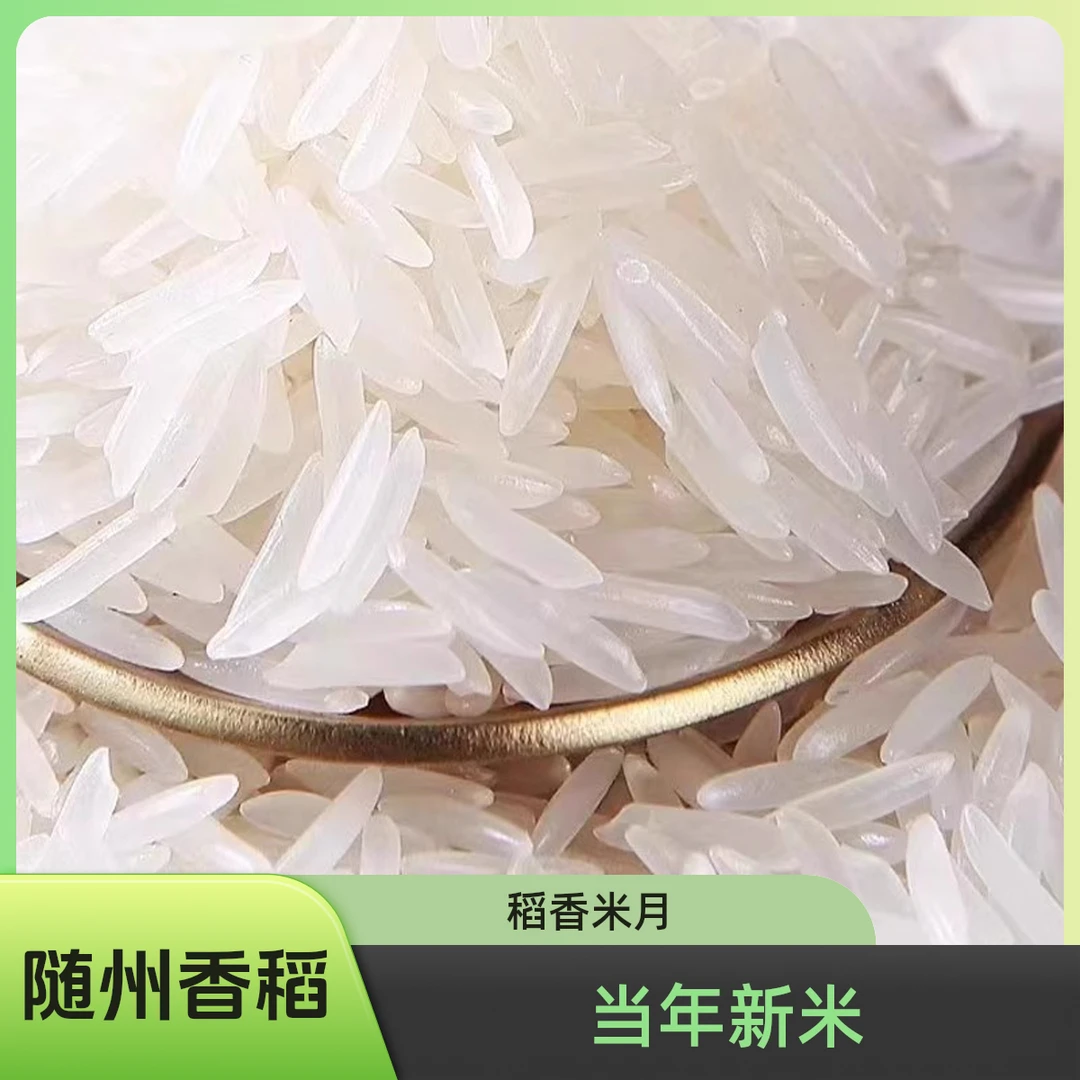 随州香稻香米月芽鲜香米