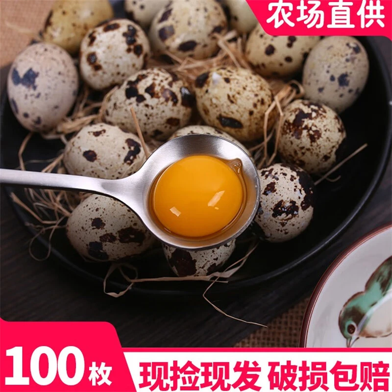 【农家杂粮】新鲜鹌鹑蛋生蛋鹑鸟蛋孕妇宝宝健康辅食营养纯生鹌鹑蛋