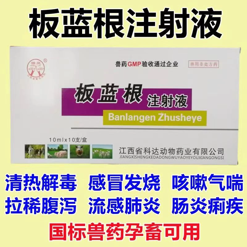 板蓝根注射液：10毫升/支×10支一盒。