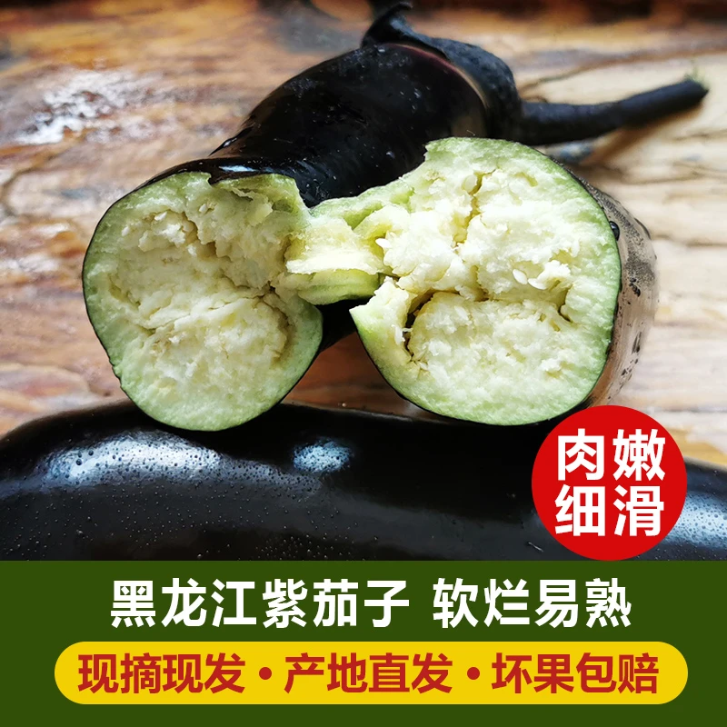 紫裤茄子新鲜蔬菜东北黑土地现摘小茄子紫把农家黑长线茄子蒜茄子