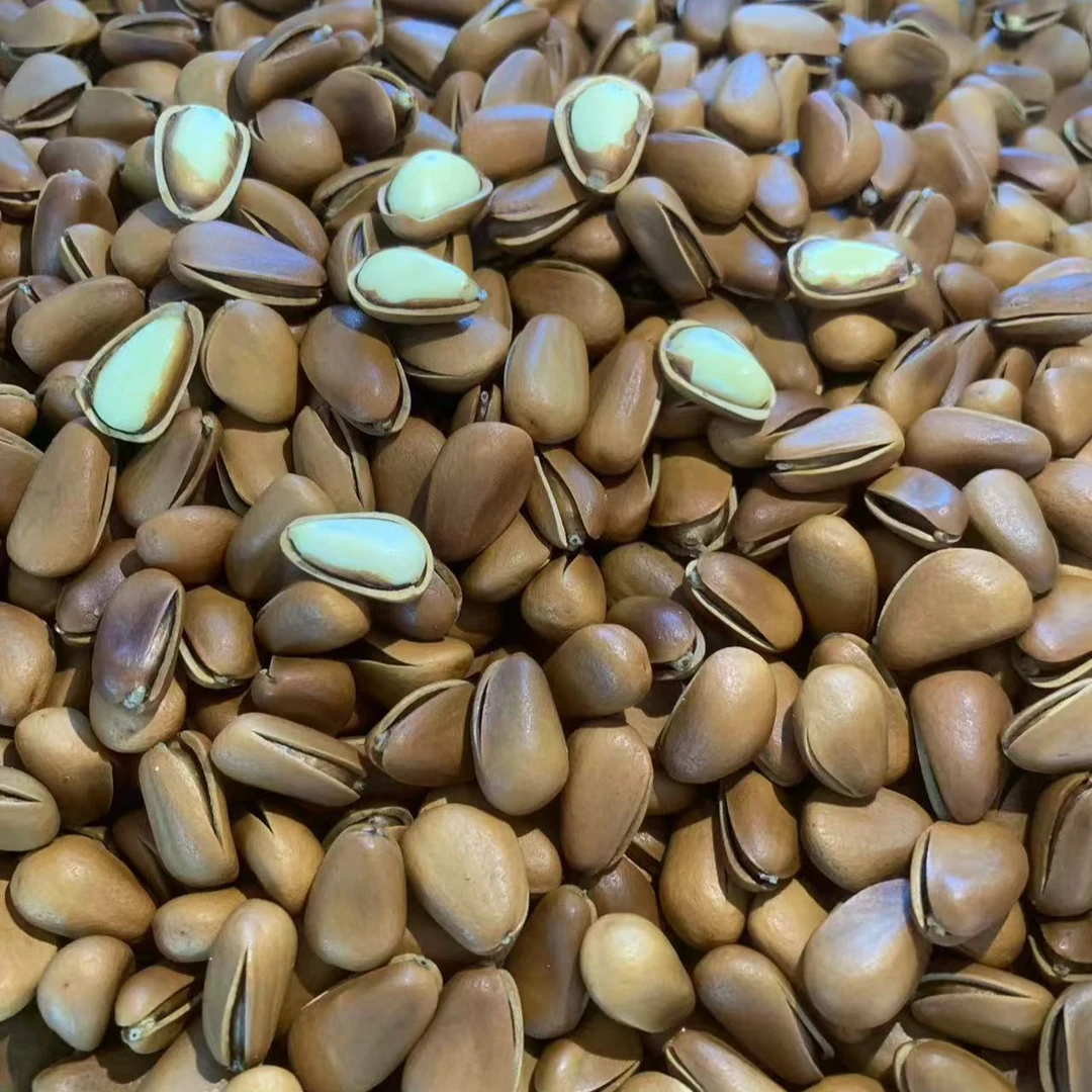 达人精选【开口松子】