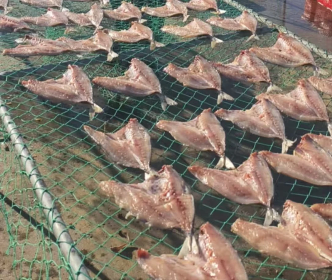 （娟子大食堂）大竹荚鱼干 3-4条 海水清洗 自然晾晒 去头去内脏 一卤鲜 8斤装精品