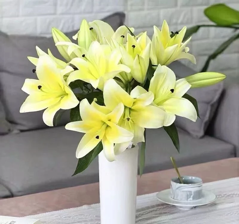 （新疆包邮）5支10朵黄天霸香水百合