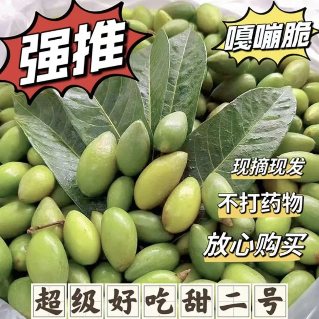 潮汕正宗二号檀香脆甜种生吃青橄榄酥甜新鲜水果现摘回甘无渣零食