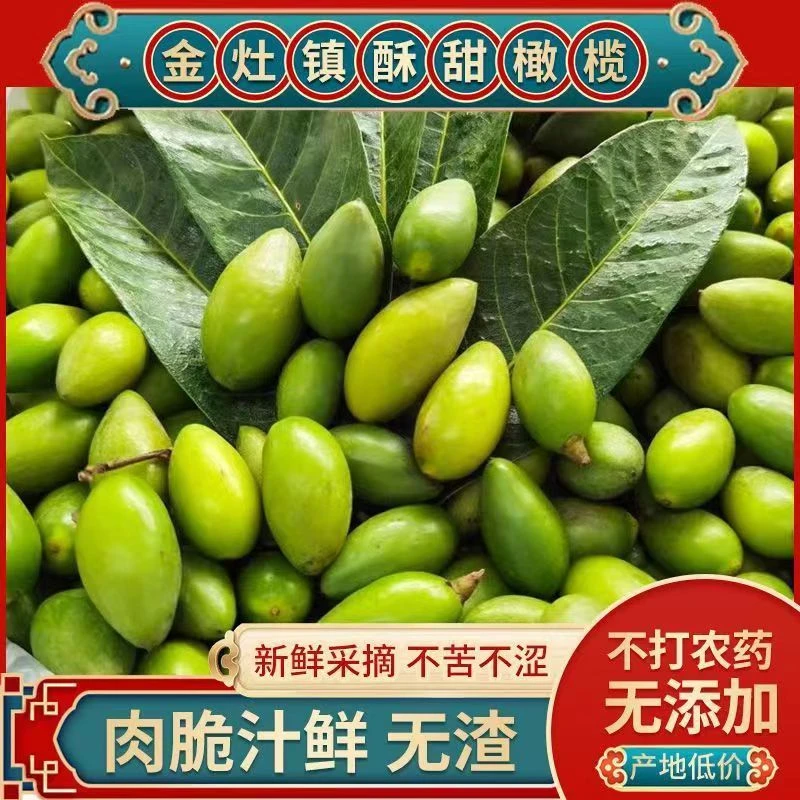 正宗金灶甜种冰糖橄现摘酥脆无渣甘甜生吃零食潮汕水果青橄榄特产