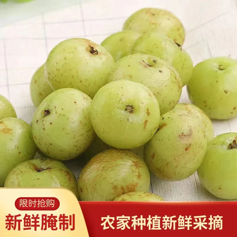 新鲜赤皮油甘果清甜现摘油柑牛甘果余甘果榨汁花皮生吃孕妇水果