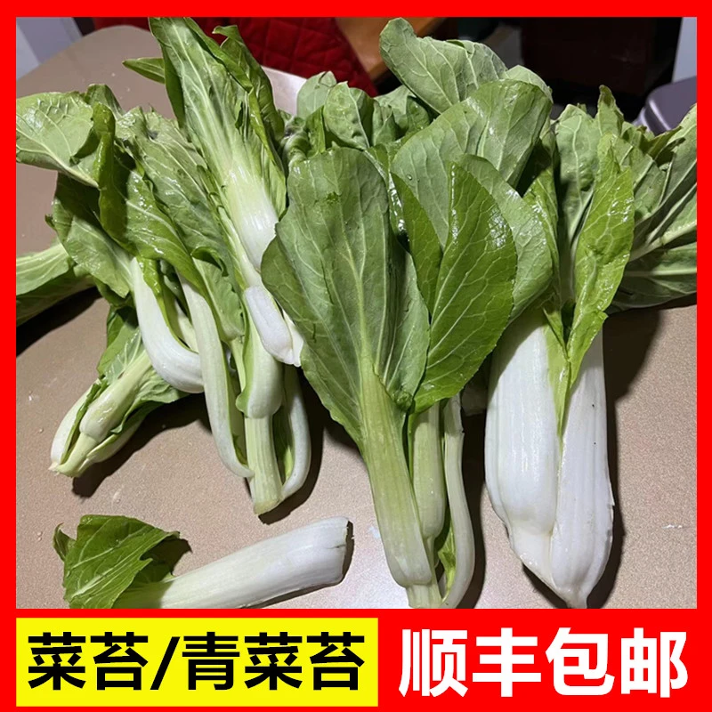 矮脚黄青菜/菜苔无为产农家自种青菜苔白菜苔露天下饭菜顺丰京东