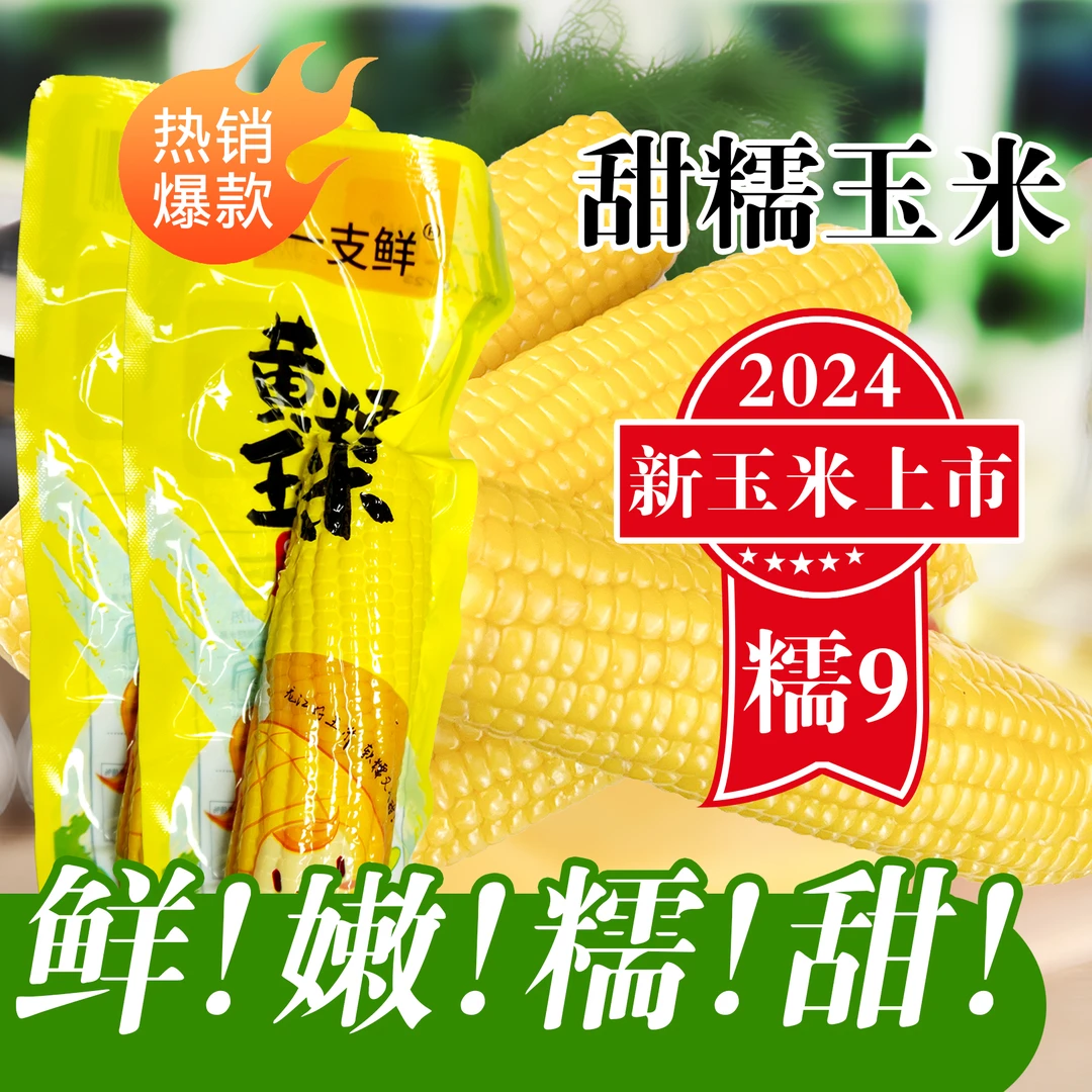 24年头茬博斯糯9【试吃两根】东北黄甜糯玉米10支单支220克