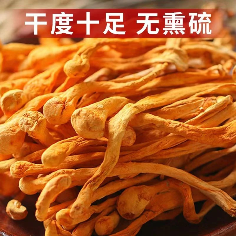 【丰收季】虫草花干货新货特产食用菌菇金虫草花美味凉拌煲汤火锅营